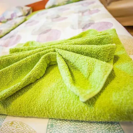 ゲストハウス Agropenzion U Bartousku *