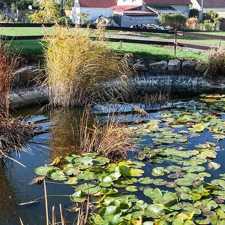 Agropenzion U Bartousku ゲストハウス *